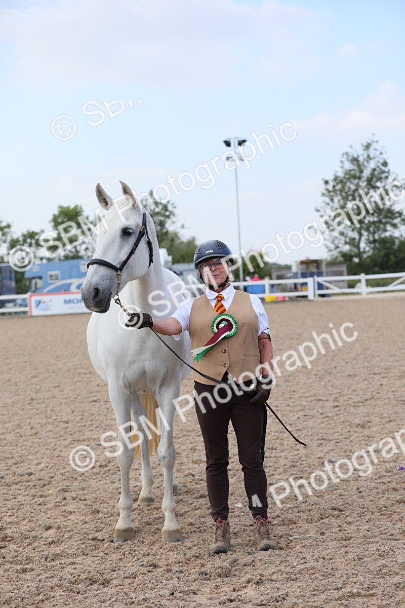 SBM_15871 - Class 312 IH Competition Horse/Pony