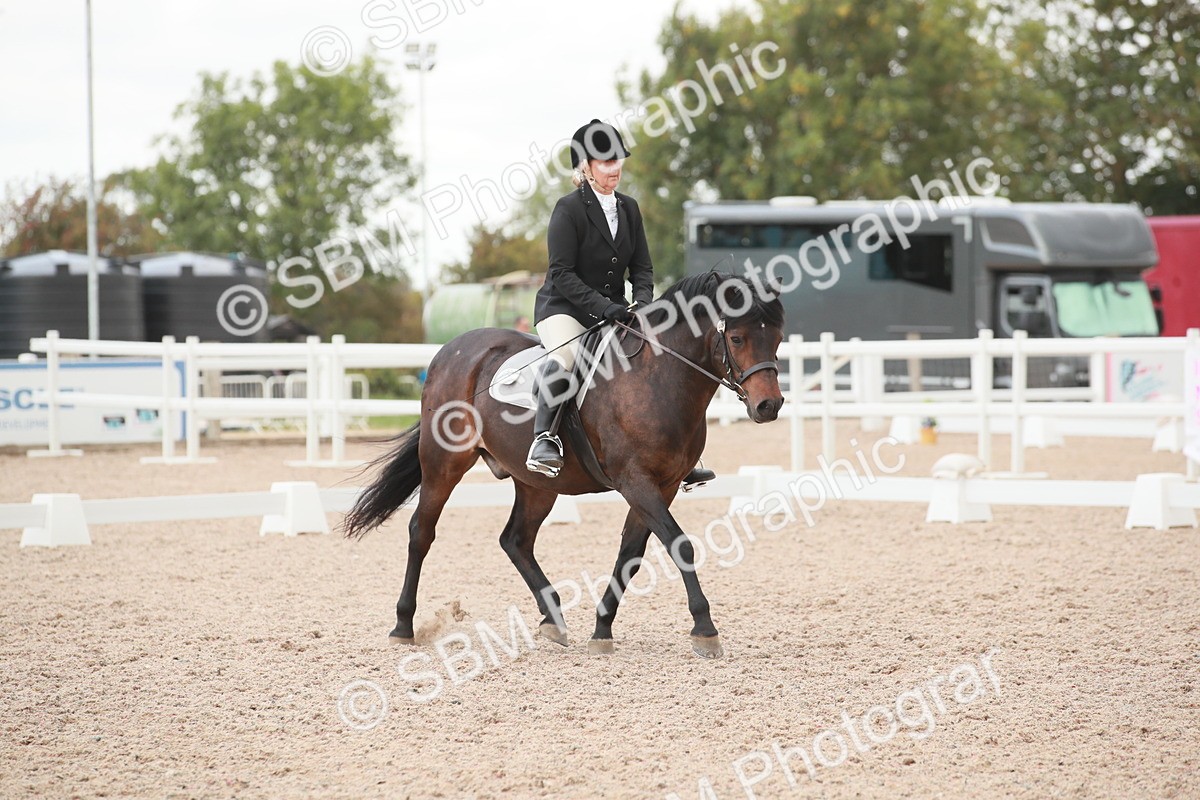 SBM_03759 - Class 31 - Prelim 1