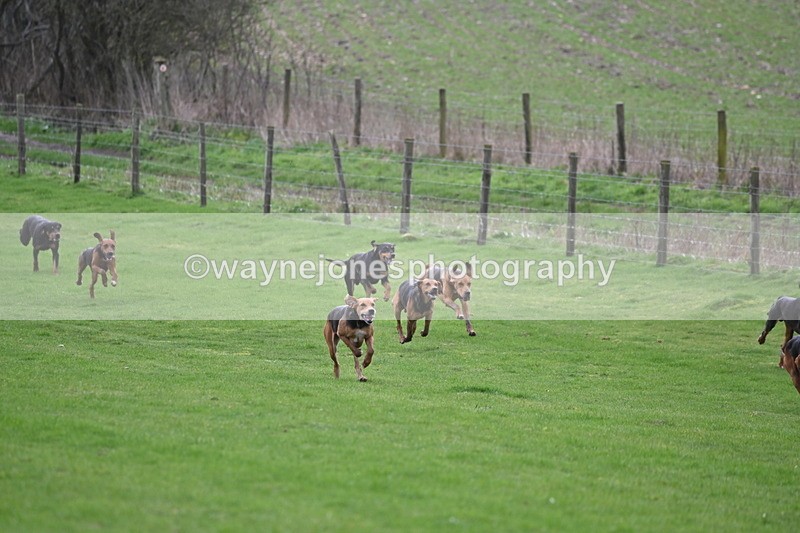 WJ6_8965 - Line Three