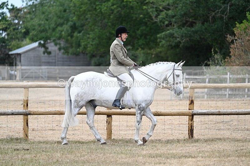 WJ7_0727 - Class 7 Riding Club Show Horse