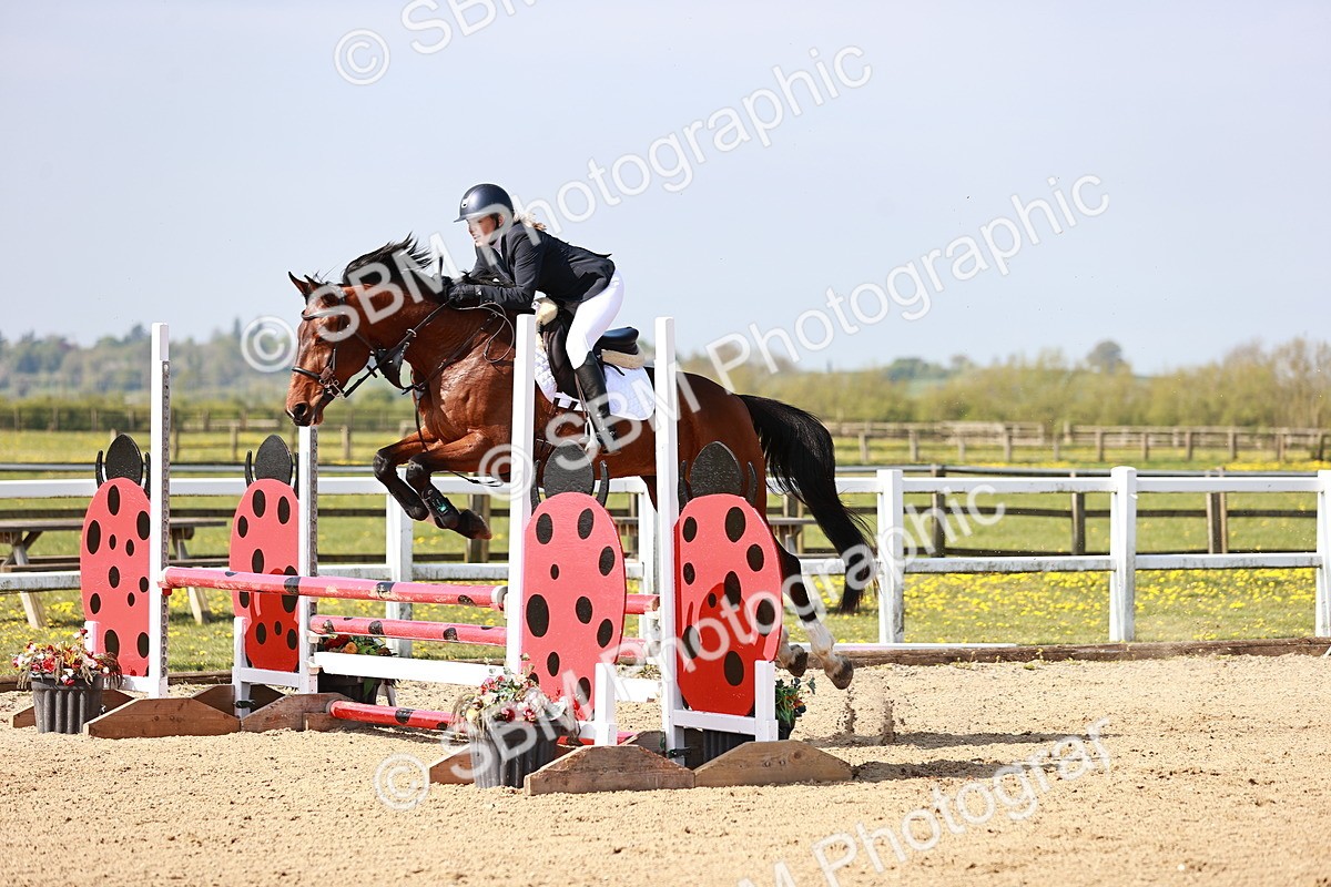  - Class 21 - Senior British Novice - 90cm