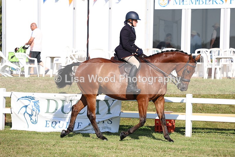 3E7A5278 - Class 2: Rising Star Large Hack/Riding Horse