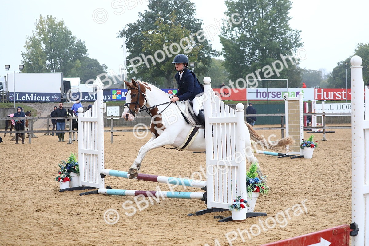 SBM_71708 - J4 - Mini Tour Junior Pony 45cm Championship