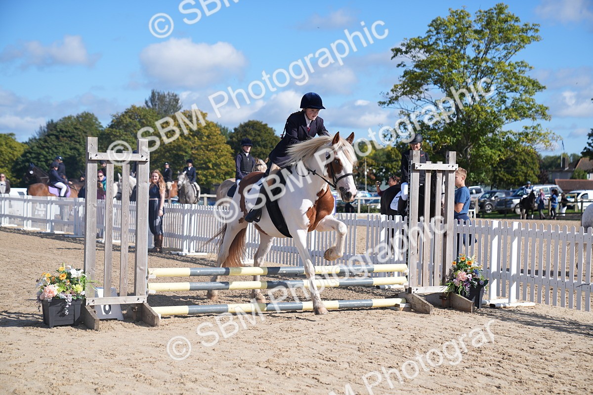 SBM_02399 - J54 Clear Round 45cm