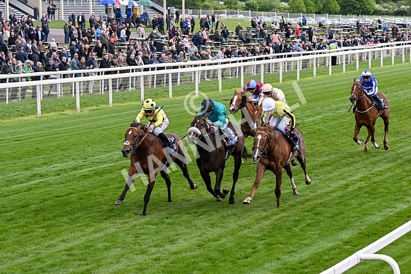 140526-Race 6-Dickensian-0338 - Race 6 4.40pm British Stallion Studs EBF Westow Stakes