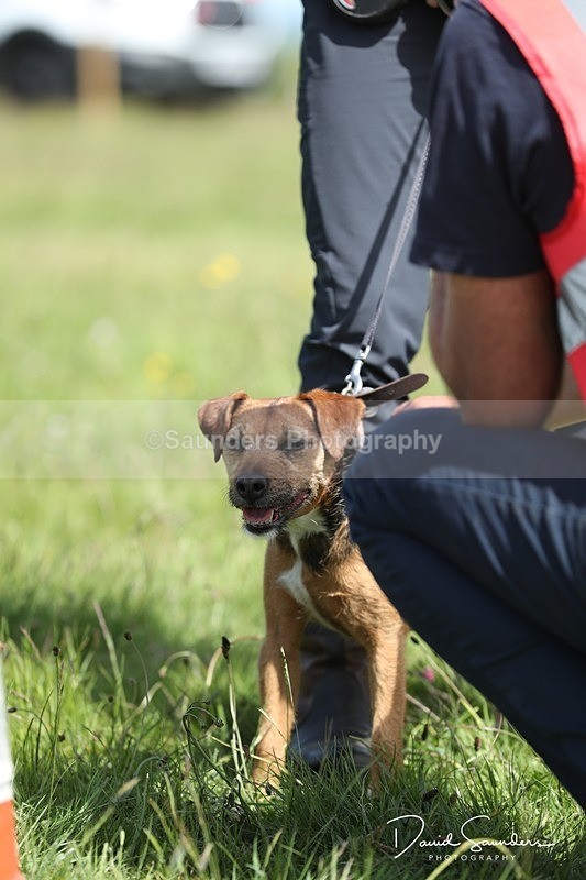 SPXX0543 - Dog show
