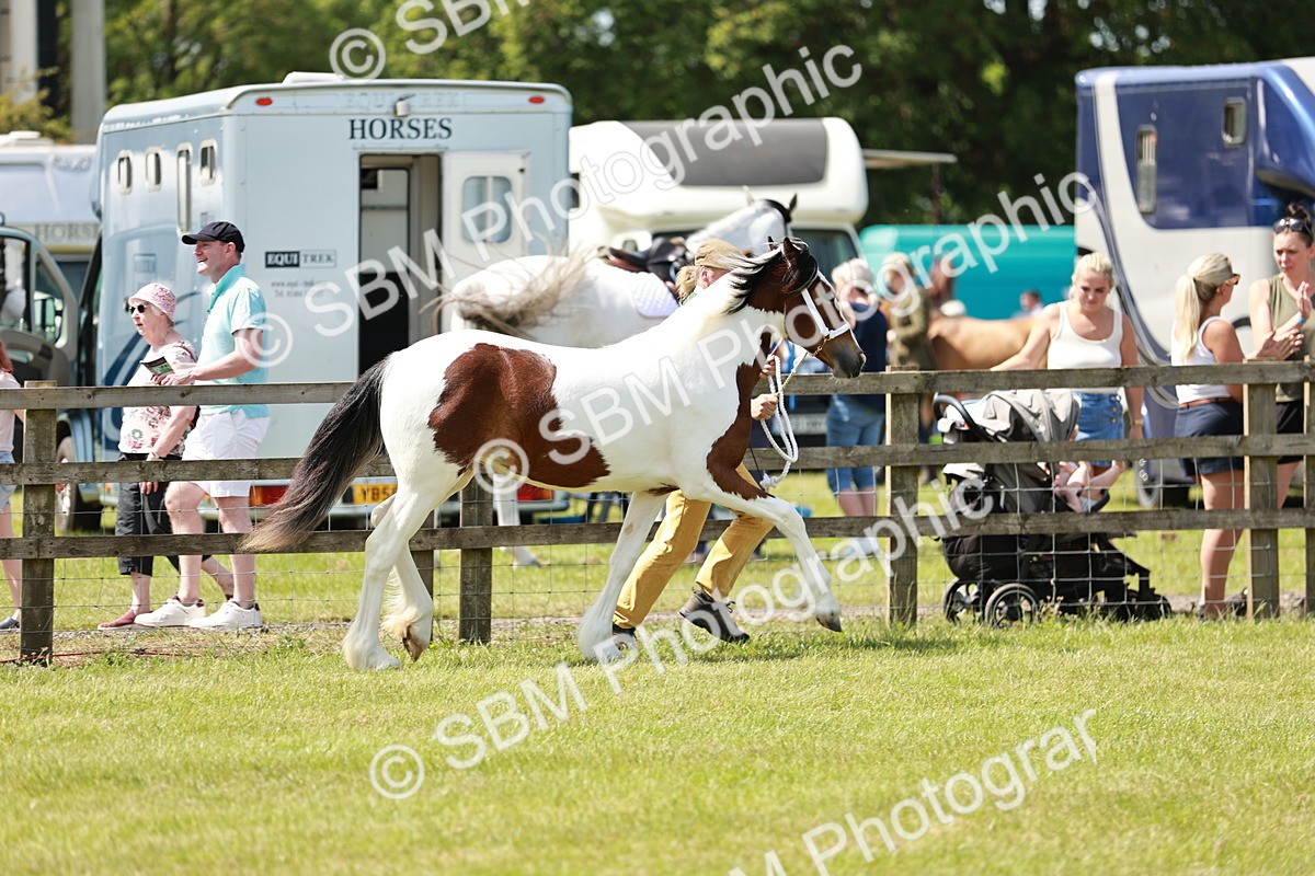 SBM_04300