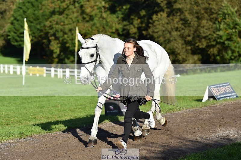 231022-101700-22375 - 455-GURTEEN.BARNEY-Georgie.Driver-TrotUp+SJ