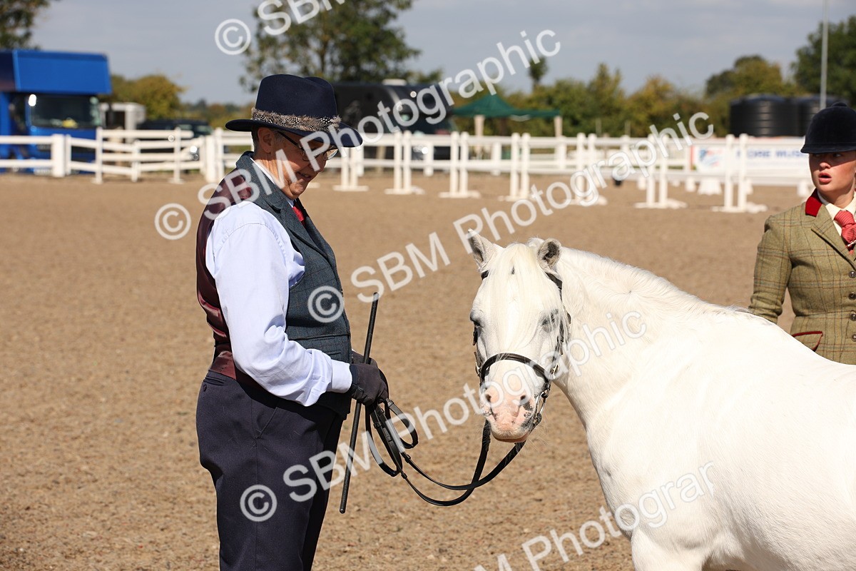 SBM_02803 - Class 16 IH M&M Wildcard