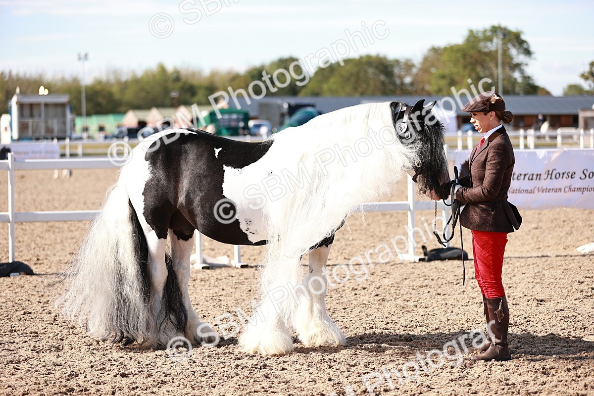SBM_12590 - Class 404 - IH Traditional - Native Cob