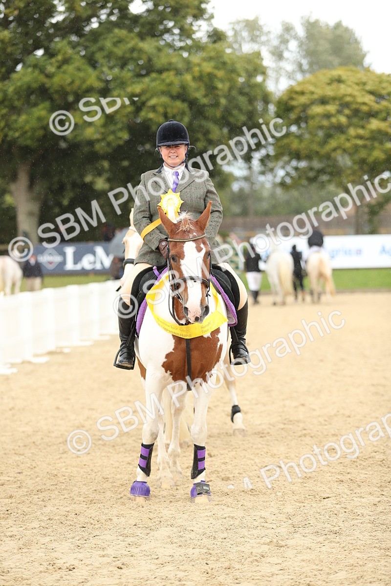 SBM_10017 - J36 - Veteran Rider 70cm