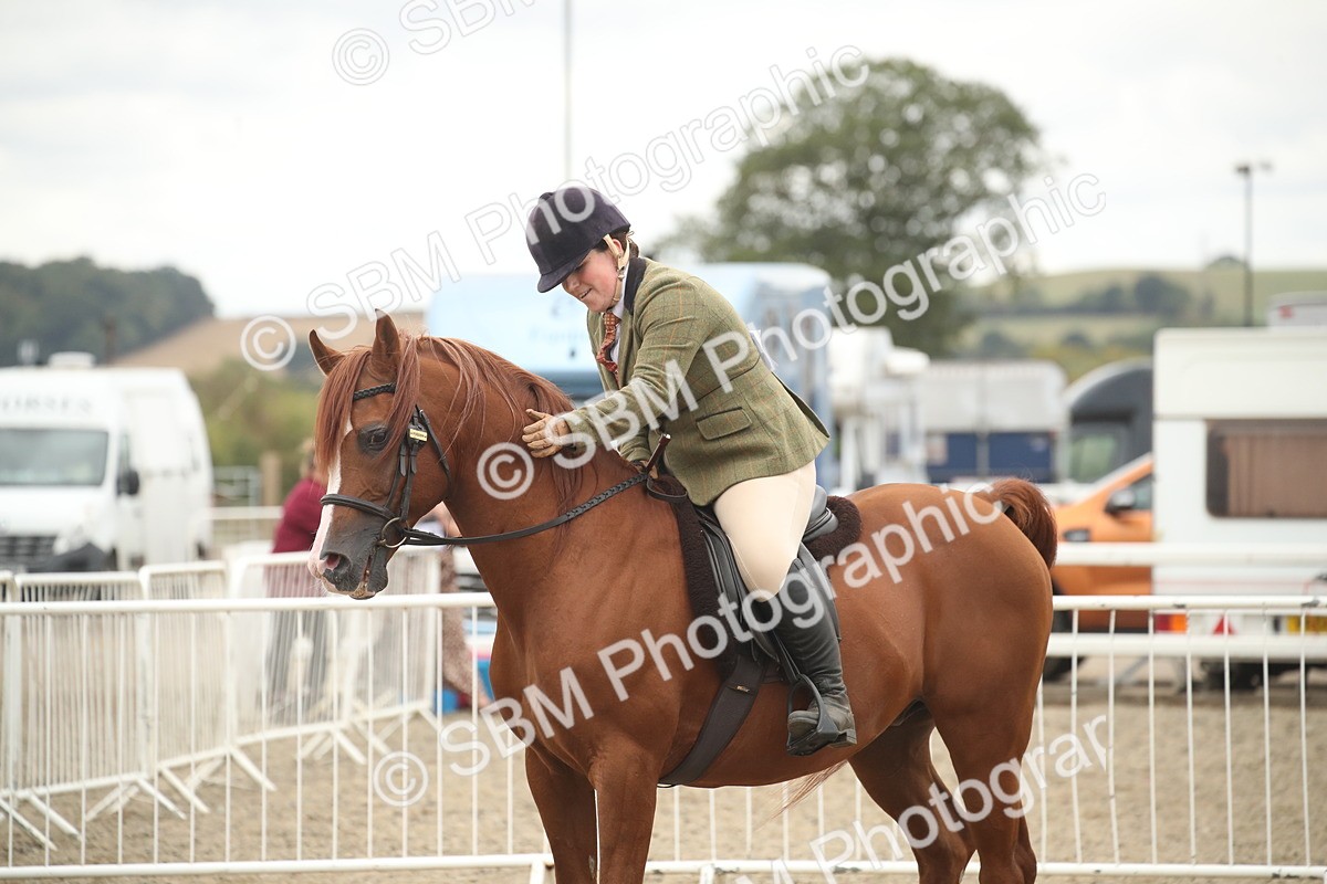 SBM_18379 - Class 509B - Working Veteran - 80cm (20+)