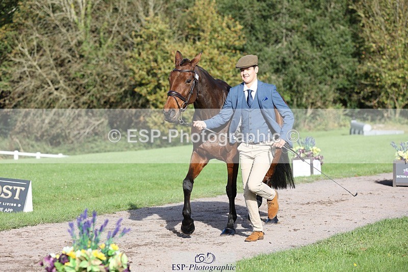 241027-101901-15811 - 504-Harry.Robinson-WHAT.A.WONDER