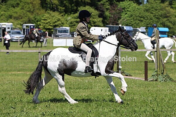 IMG_3824 - Working Hunter