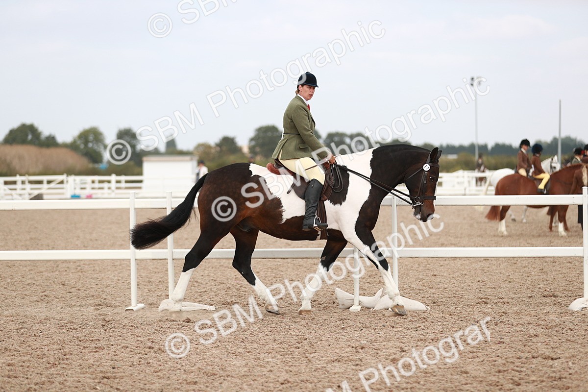 SBM_16653 - Class 214 Ridden Cob