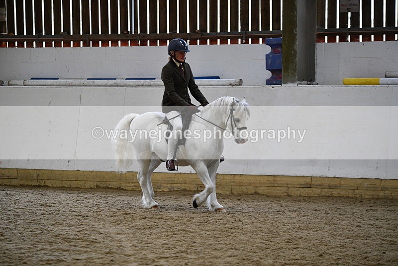 WJ5_6255 - Class 9 Ridden Veteran