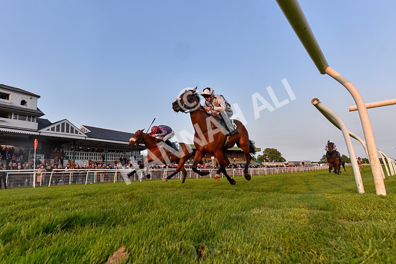 310524-Race 5-Dusk Dame-7634 - Race 5