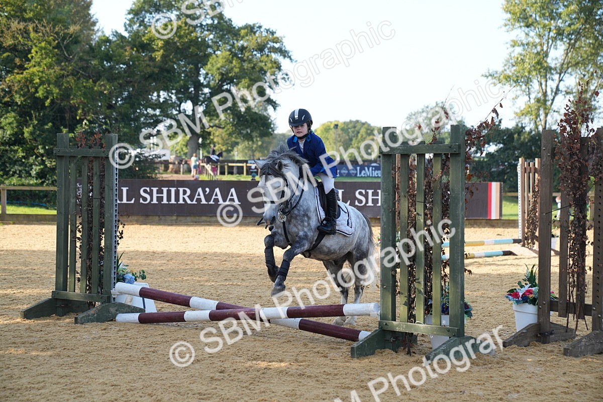 SBM_59104 - J63 - Minis Clear Round 30cm 40cm