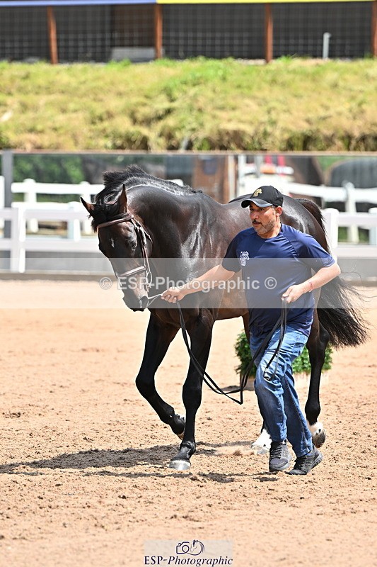240718A-105301-01448 - Trot Up 12pm to 1pm