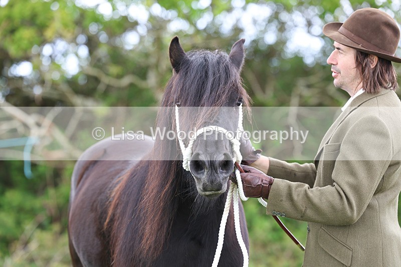 3E7A0850 - In Hand Championship