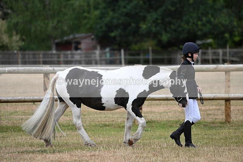 WJ6_4150 - Class 10 Coloured In-hand