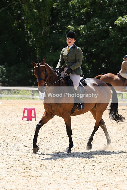 1X9A1873 - Class 12: Ridden Riding Horse/Hack