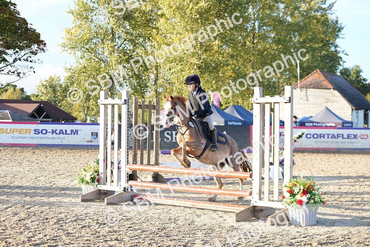 SBM_54091 - Supreme Championship 60cm 65cm