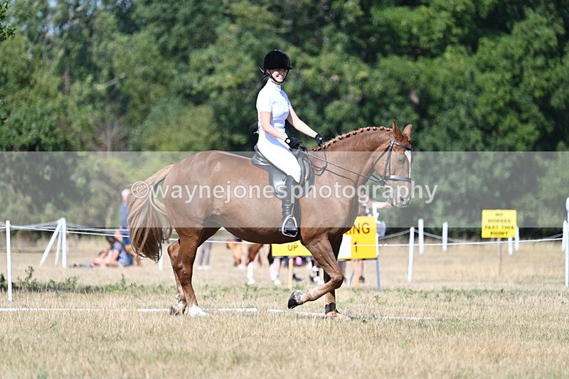 WJ7_9990 - Time 11:03 to 11:28