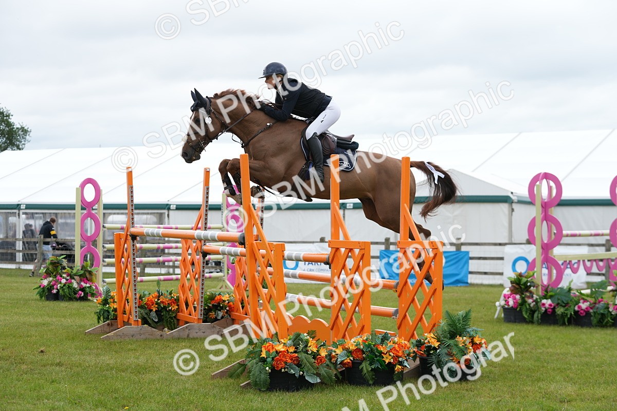 SBM_03191 - Class 201 - British Horse Feeds Speedi Beet Horse of the Year Show Grade  C