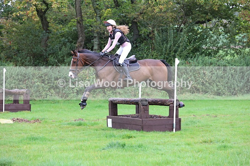 JPP_5382 - Class 4: 80cm: Crossed Logs