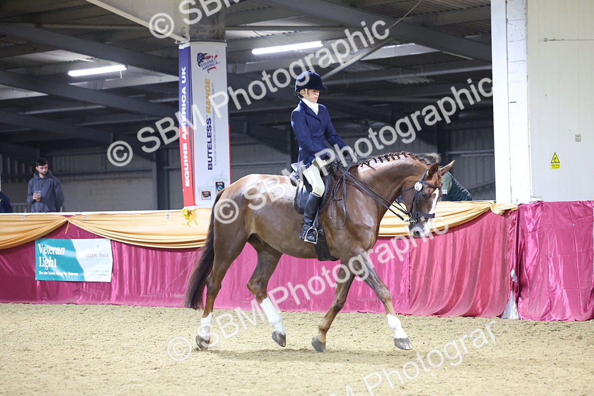 0B8A4472 - Class O Ridden Show Horse Champ