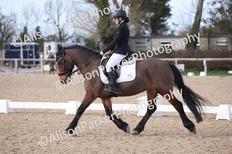 20260301-0835 - Class 5 - Elementary 4