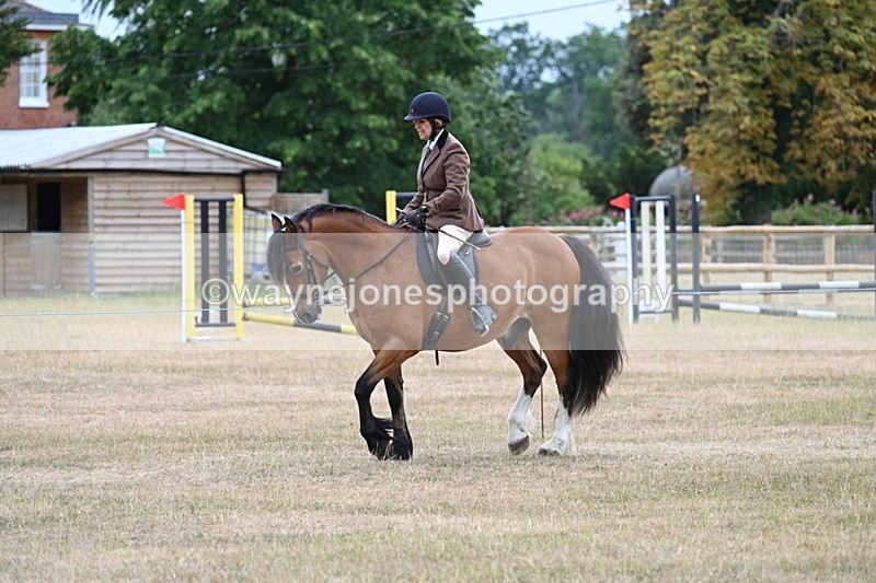 WJ7_0319 - Class 6 Ridden Mountain and Moorland