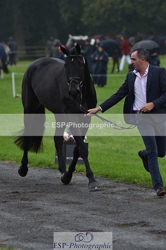 231018-120622-00081 - 060-COOKSTOWN.JACKSON-Alan.Nolan-TrotUp