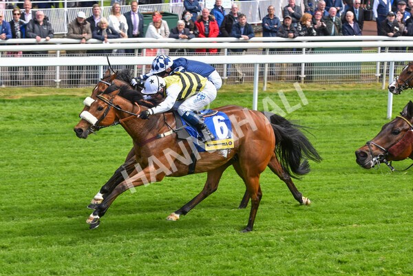 yr11052022r2-39 - Race 2 2.25pm Churchill Tyres Stakes