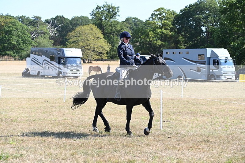 WJ6_7454 - Class 34 Judges Choice