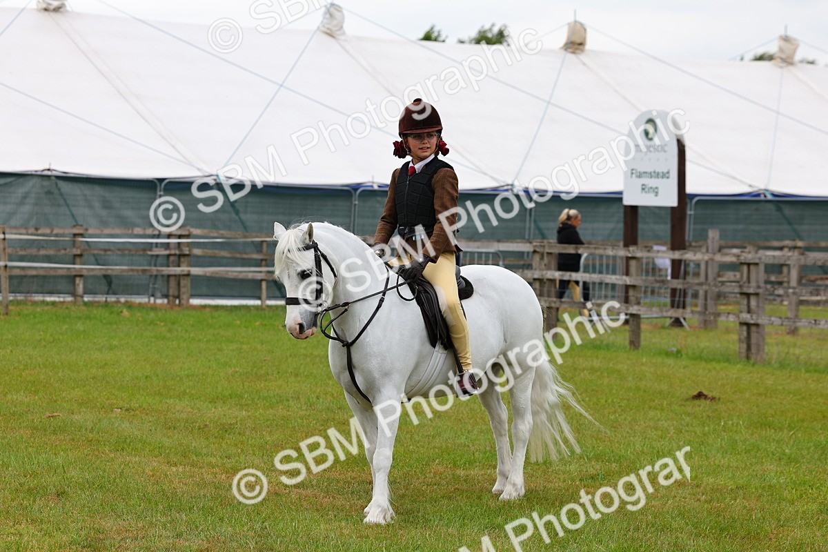 SBM_08712 - Class 42-43 - LIHS BSPS Heritage Working Sports Pony