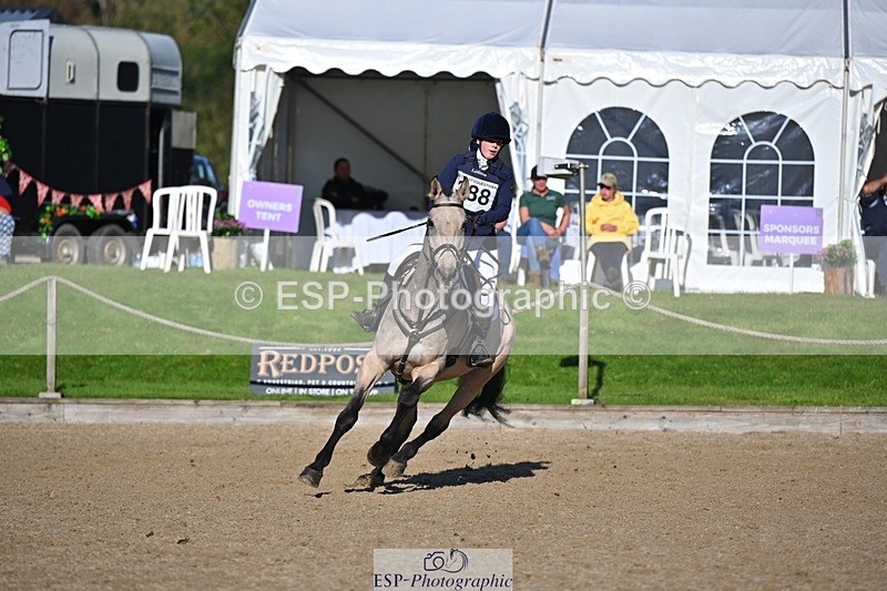 241027-120747-17141 - 388-Anaya.Stoneman-DUNTOATEE