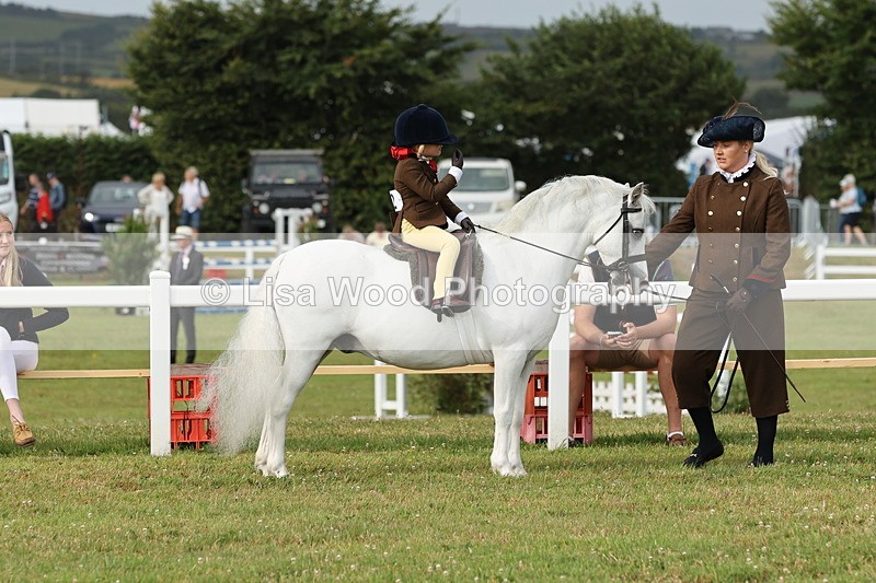 JPP_0339 - Class 14: Cornish Combination Leading Rein