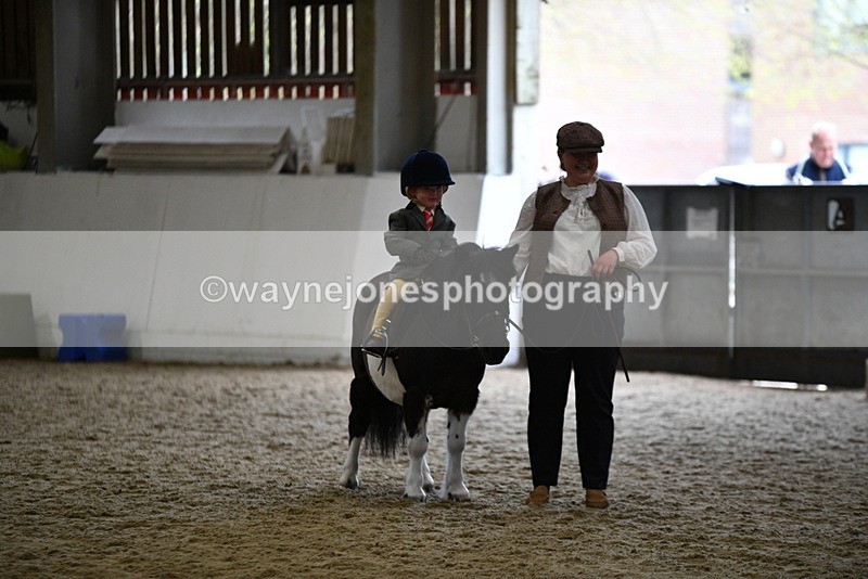 WJ5_6682 - Class 10 Childs Pony