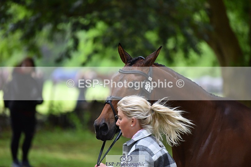 240522-165312-01228 - 276-FOURFIELDS_WONDER_WOMAN-Heidi_Coy