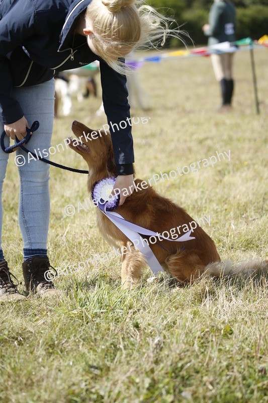 20250831-3690 - Dog Show