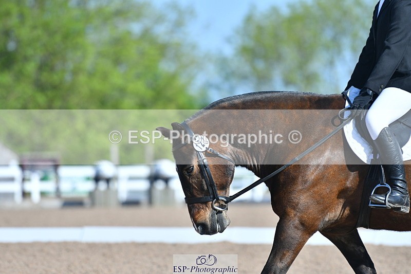 230520A-092106-01600 - Cls 2 Intro B