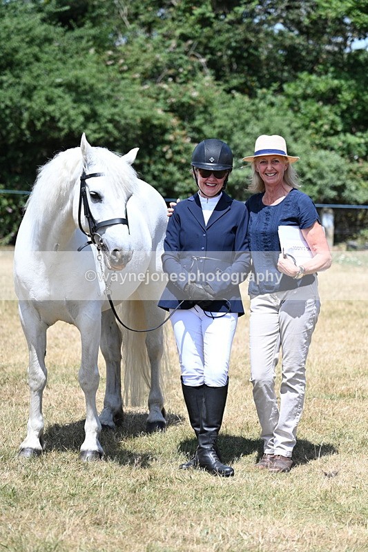 WJ7_2471 - Class 5a Most Handsome Gelding in hand (above 14.2hh)