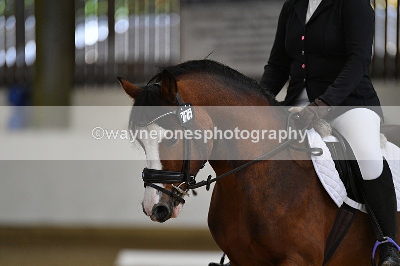 WJ5_7326 - Class 2 Intro Test 2