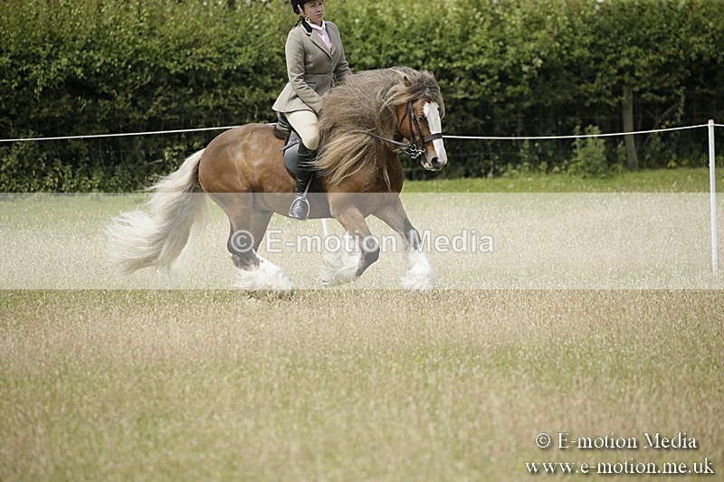 B230619-0436 - Bourne Valley Riding Club Summer Show 23/06/19