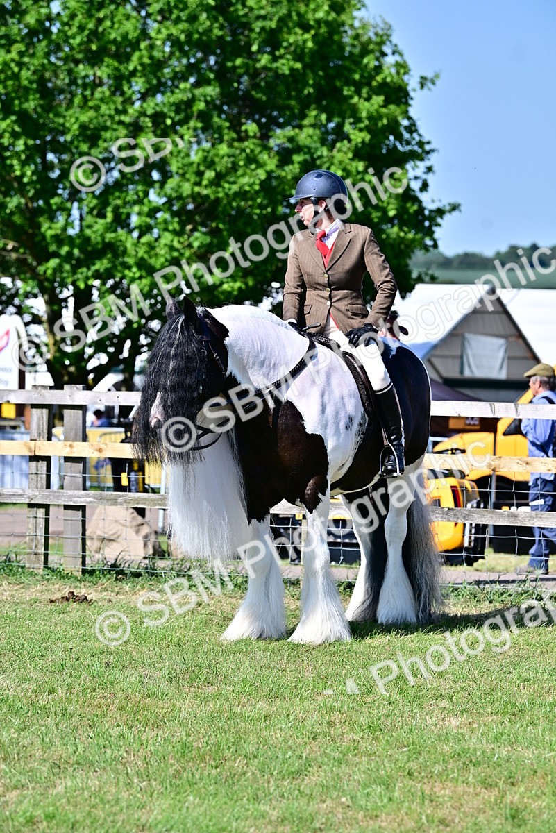 SBM_19440 - Class 101-102 - BSPS LIHS Performance Coloured Horse/Pony