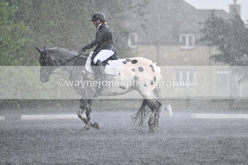 WJ7_8265 - Time 14:02 to 14:11