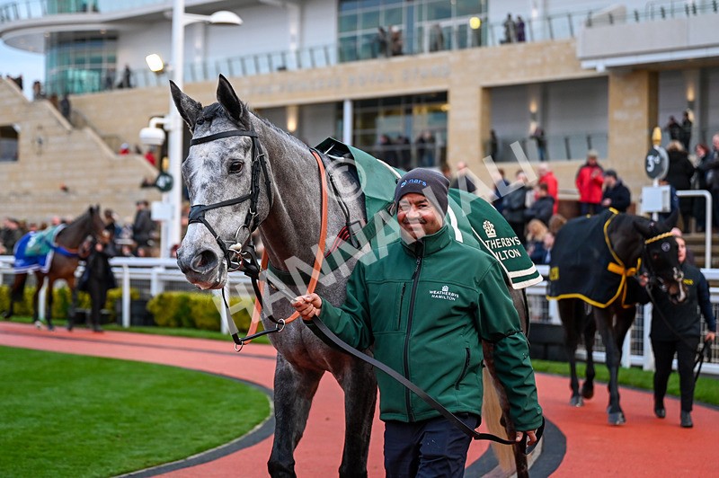 141224-Race 7-Pretending-0873 - Race 7