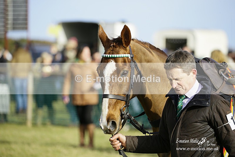 PtP 300122 297 - South Dorset Hunt - Point-to-Point Races 30/01/2022